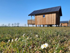 Nice lodge with unobstructed view in Drenthe